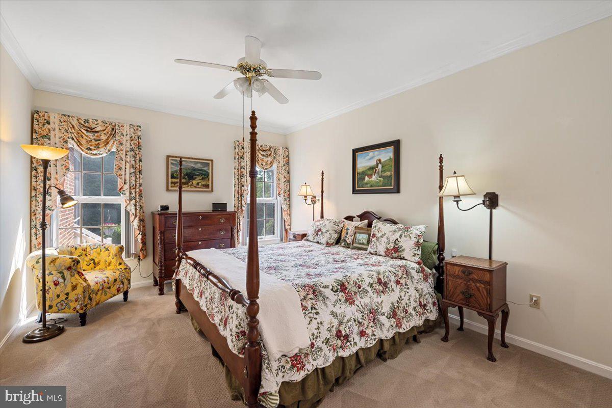 THE DOWNS AT MEADOWBRANCH - Residential