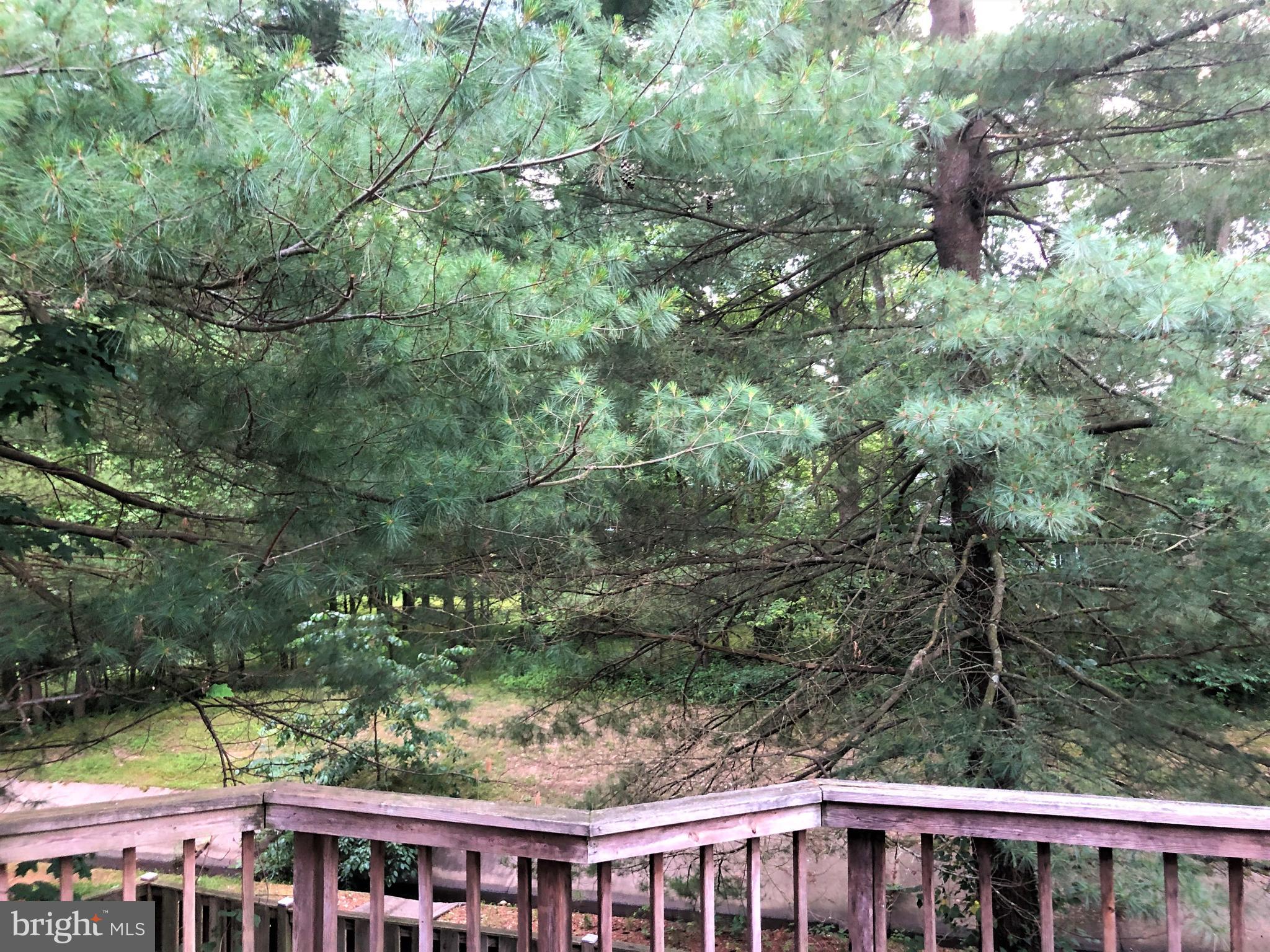 WOODSTONE - Residential Lease