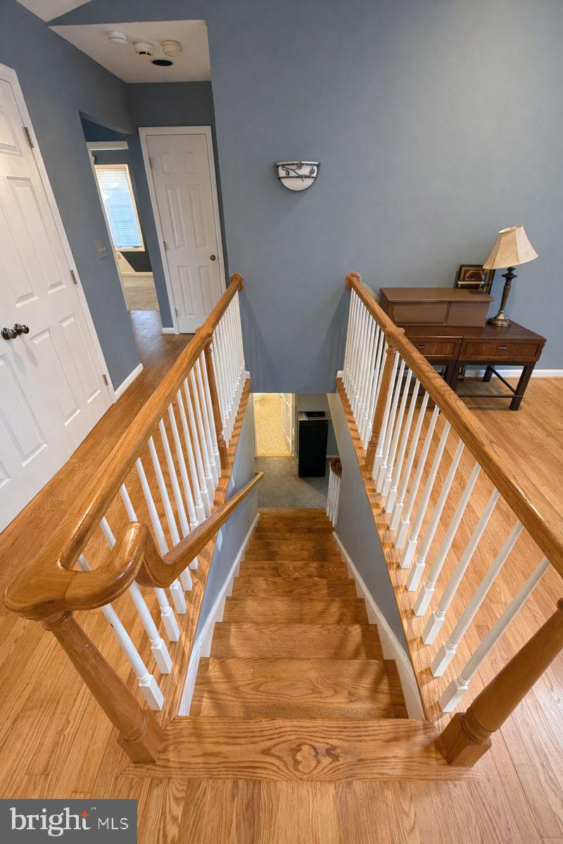 SAGAMORE FOREST - Residential