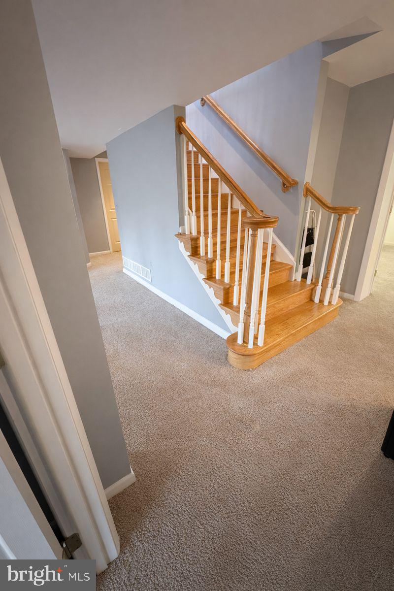 SAGAMORE FOREST - Residential