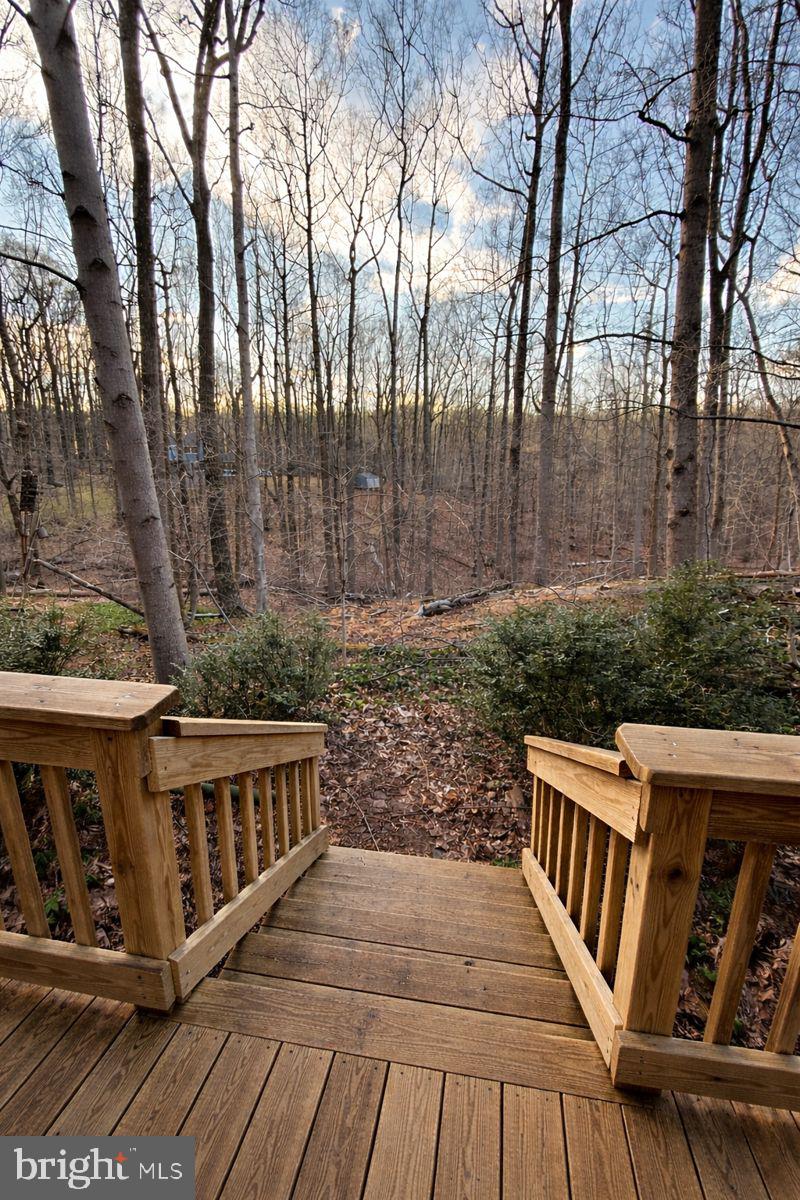 SAGAMORE FOREST - Residential