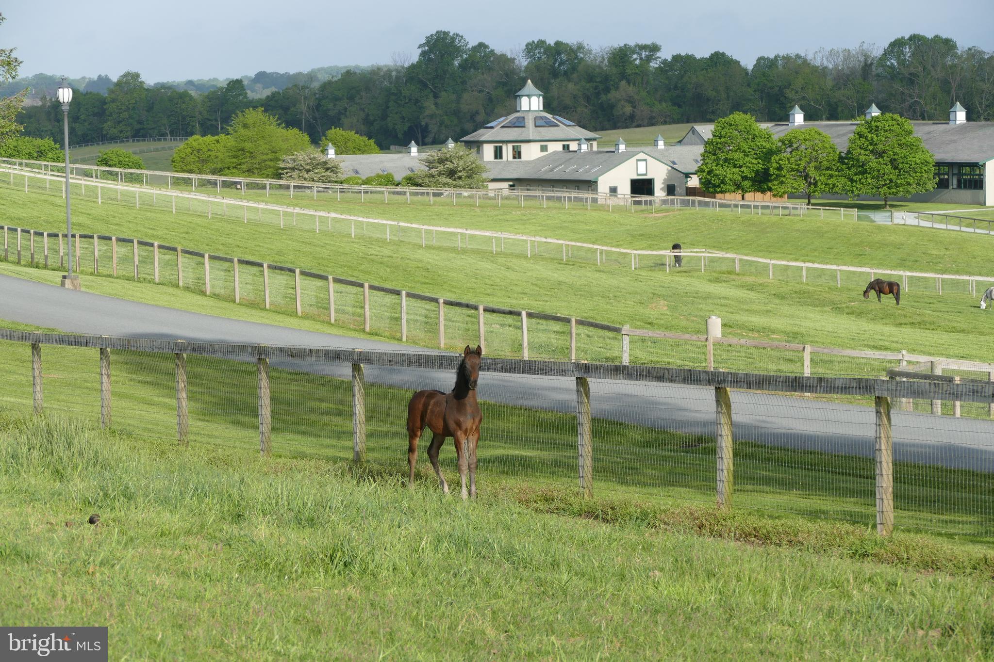 NONE AVAILABLE - Farm