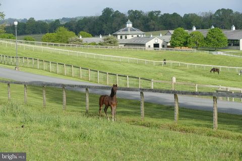 1089 NESBITT ROAD COLORA MD 21917