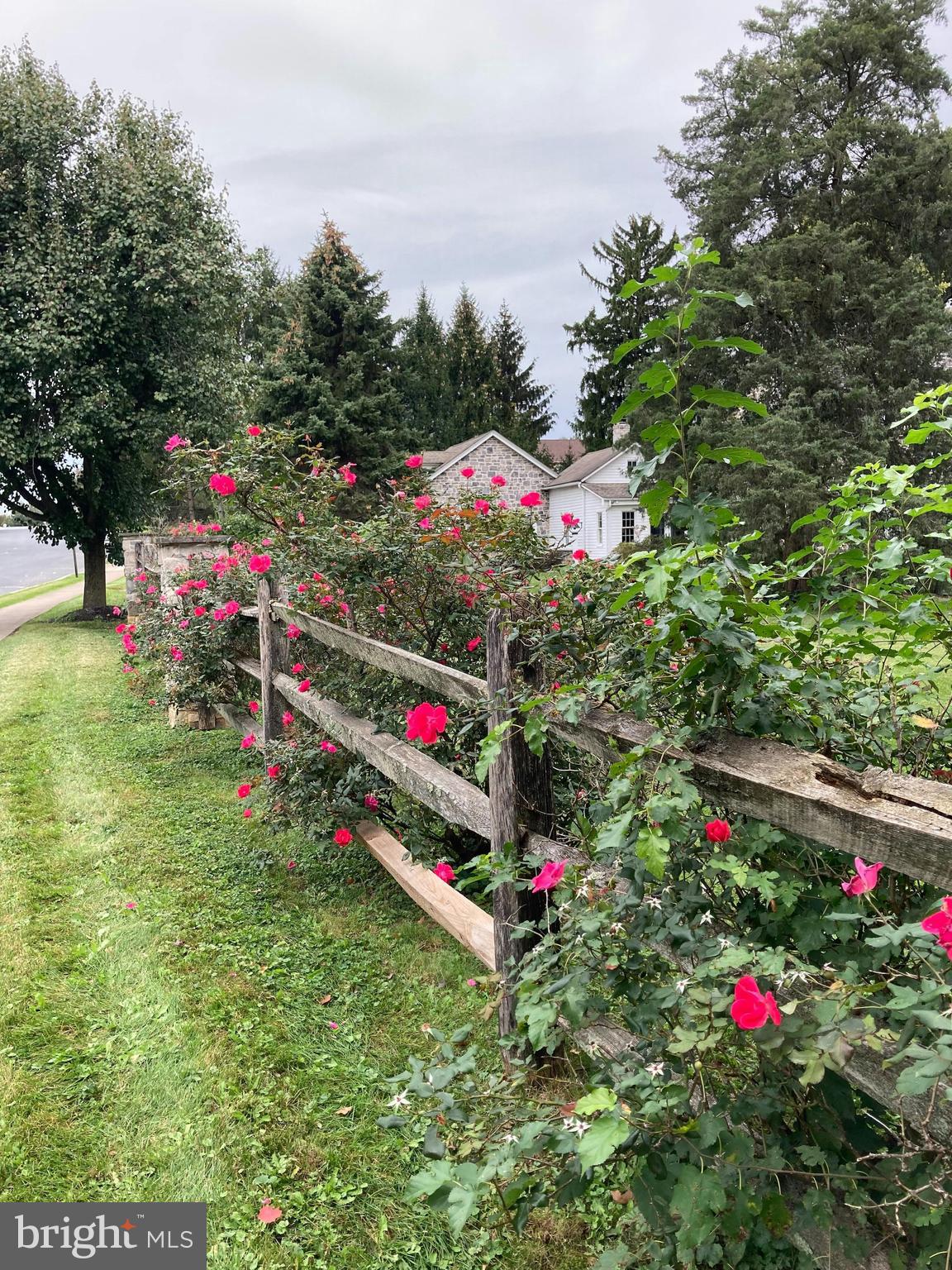 NONE  AVAILABLE - Residential