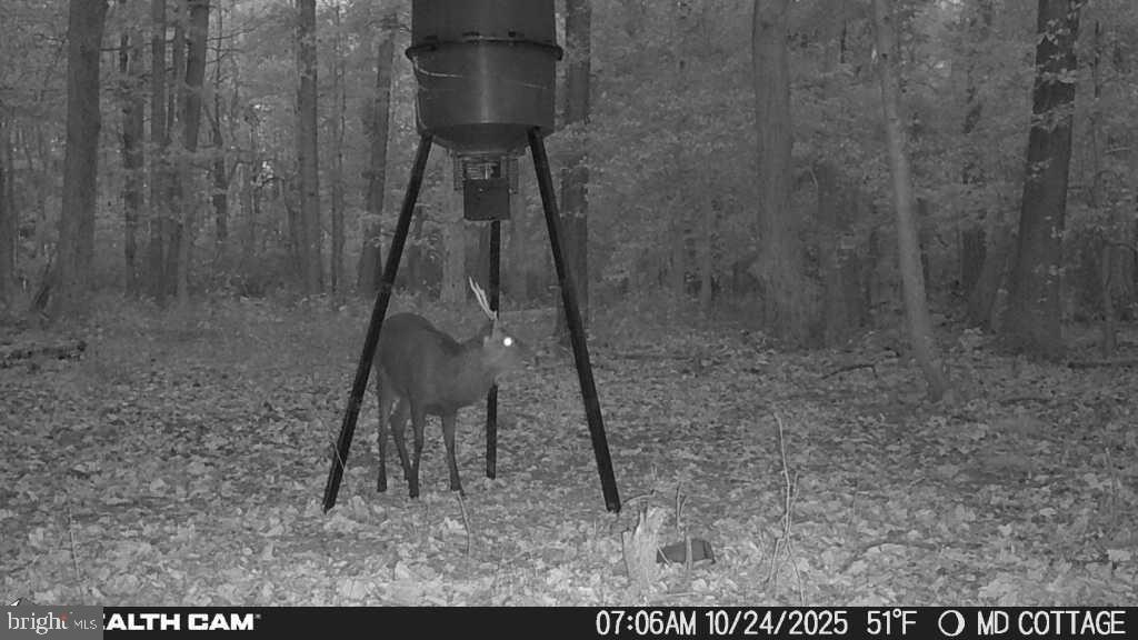 4424 HOOPERS NECK ROAD