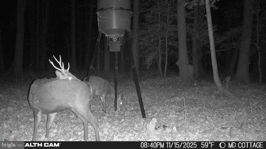 TAYLOR'S ISLAND - Residential