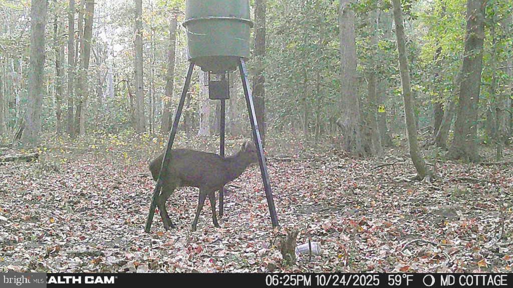 TAYLOR'S ISLAND - Residential