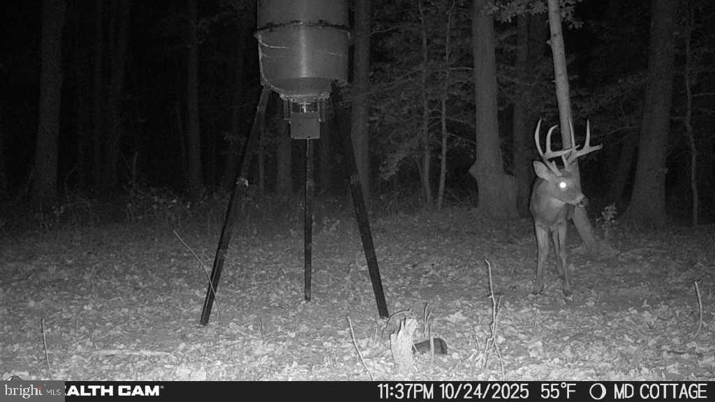 TAYLOR'S ISLAND - Residential