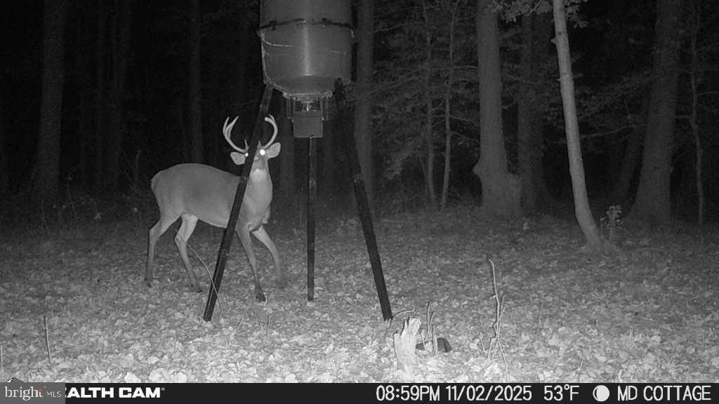 TAYLOR'S ISLAND - Residential