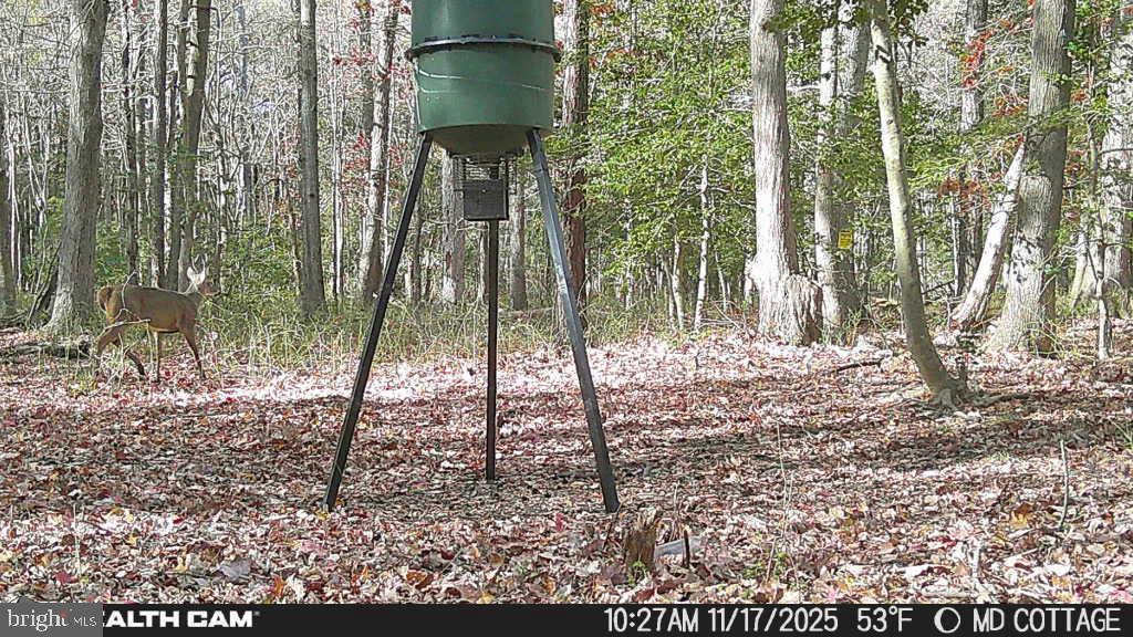 TAYLOR'S ISLAND - Residential