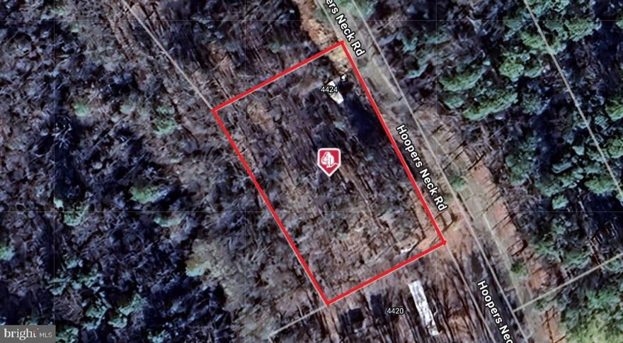 Discover nearly one acre of land on sought-after Taylors Island, perfectly positioned near the center of the island. This location offers some of the best hunting and fishing in the region—whitetail, sika deer, and turkey are abundant, and opportunities for outdoor recreation are endless.
This property is an ideal setting for a hunting or fishing camp, with Taylor's Island Wildlife Management Area and Blackwater National Wildlife Refuge just minutes away. Prefer to stay close to home? Enjoy the convenience of hunting on your own land.
Multiple public boat ramps are nearby, providing quick access to Fishing Bay, the Honga River, and the Chesapeake Bay.
Buyer to verify well and septic with the county.