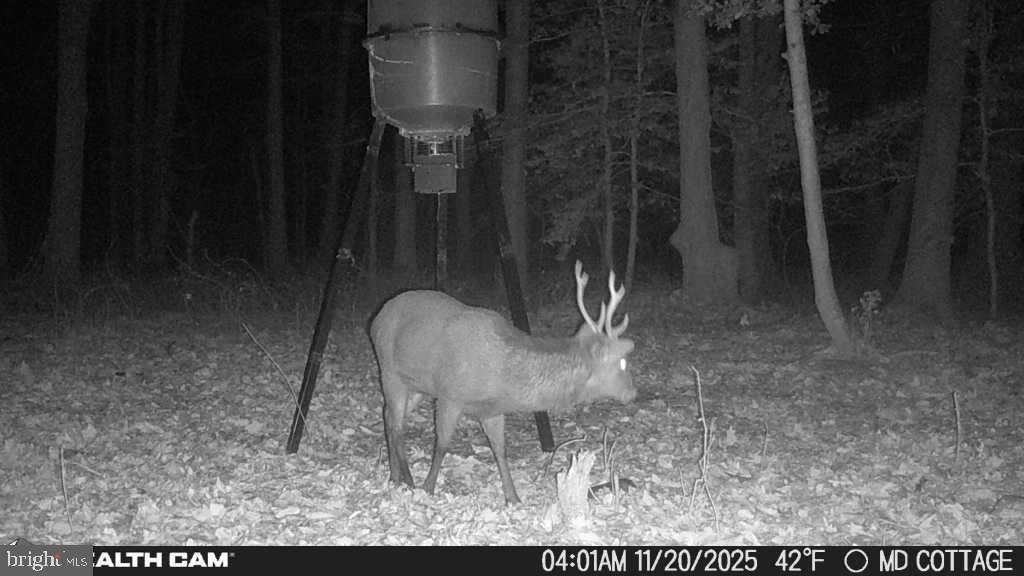 TAYLOR'S ISLAND - Residential