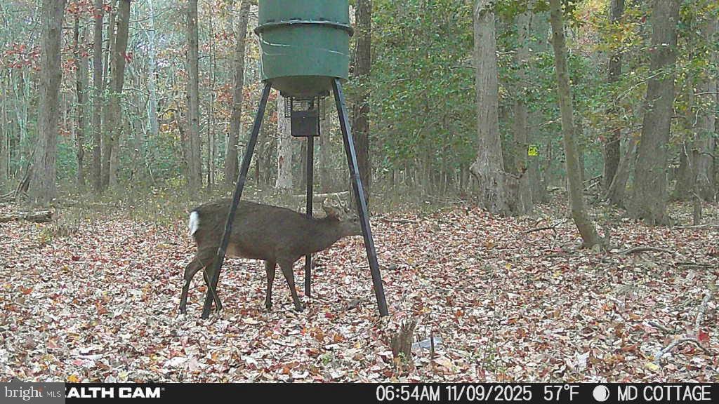 TAYLOR'S ISLAND - Residential