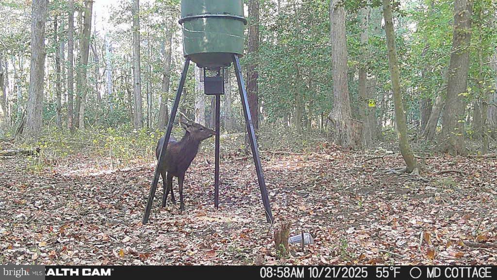 4424 HOOPERS NECK ROAD