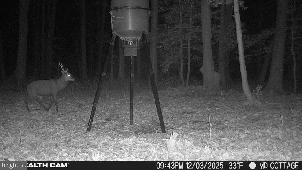 TAYLOR'S ISLAND - Residential