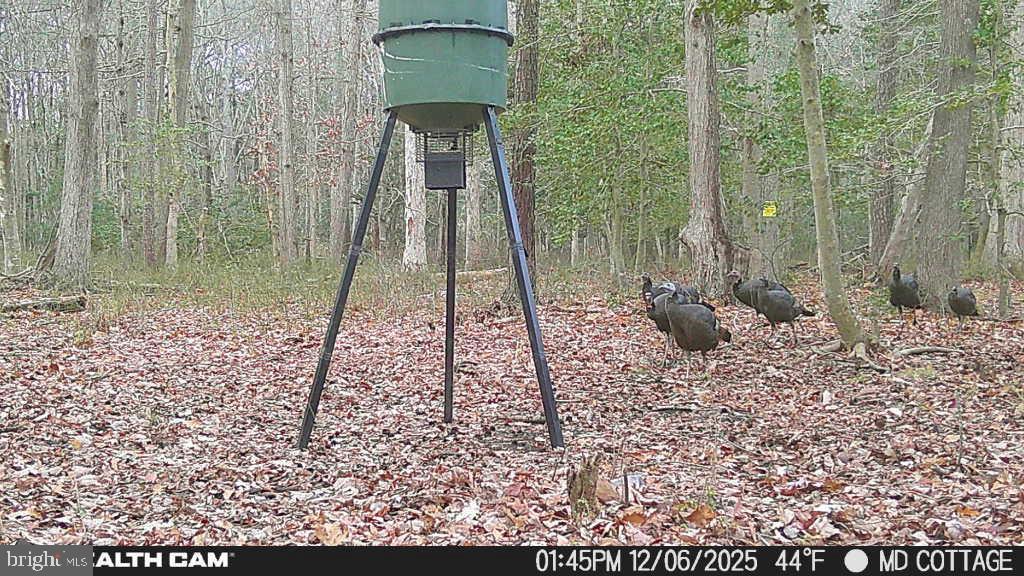 TAYLOR'S ISLAND - Residential