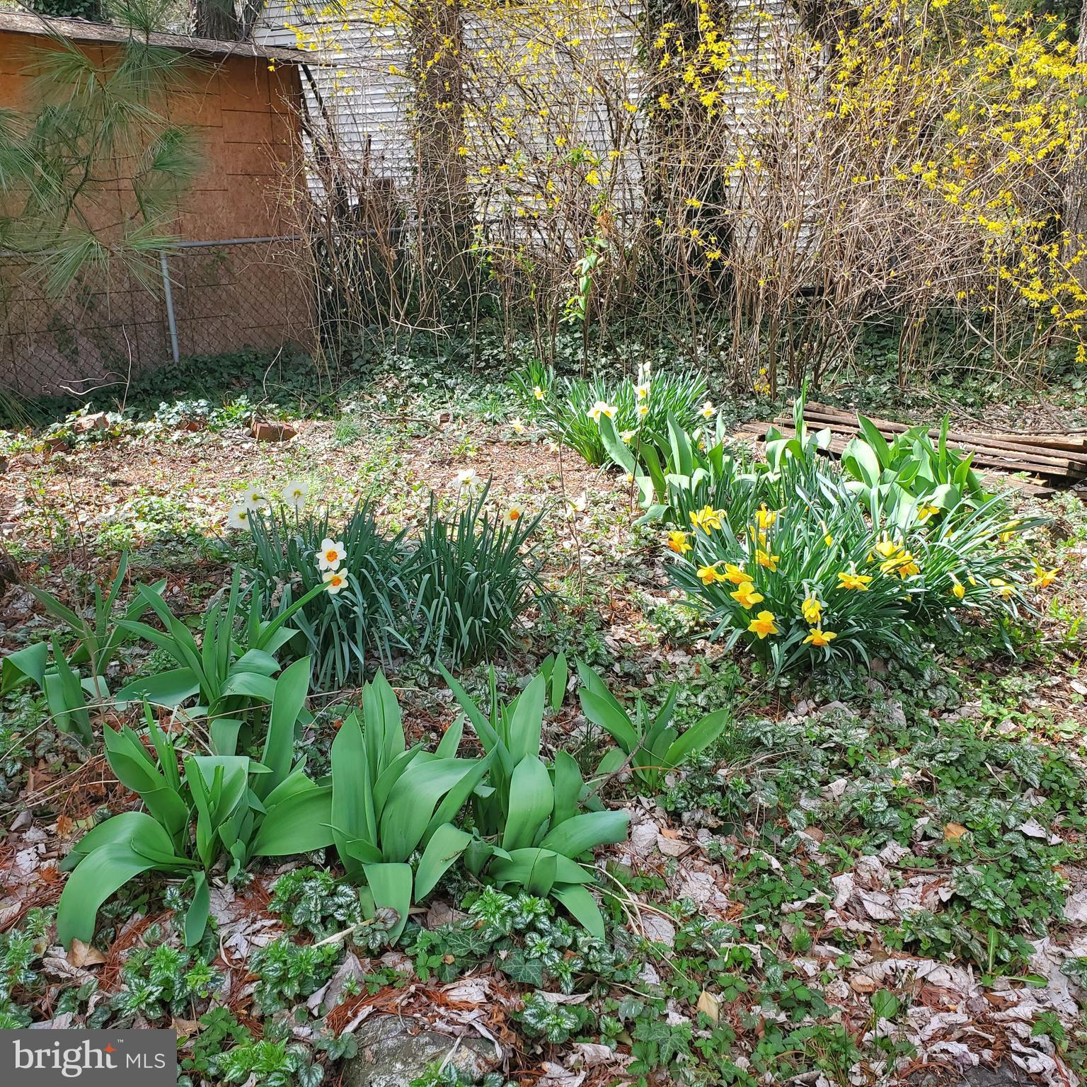 BRIARWOOD - Residential