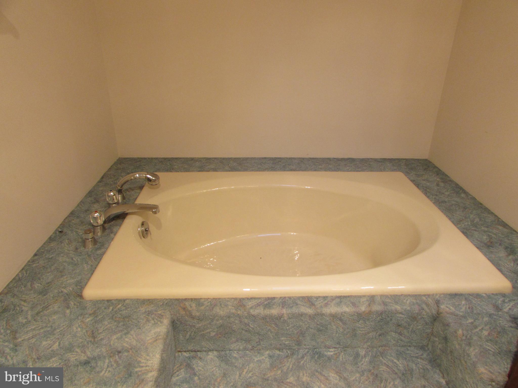 CHESAPEAKE OVERLOOK - Residential