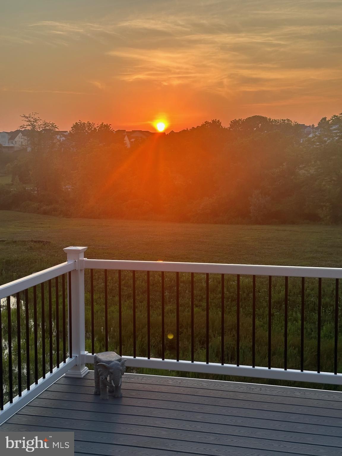 PRESERVE AT MARSH CREEK - CARRIAGE COLLECTION - Residential