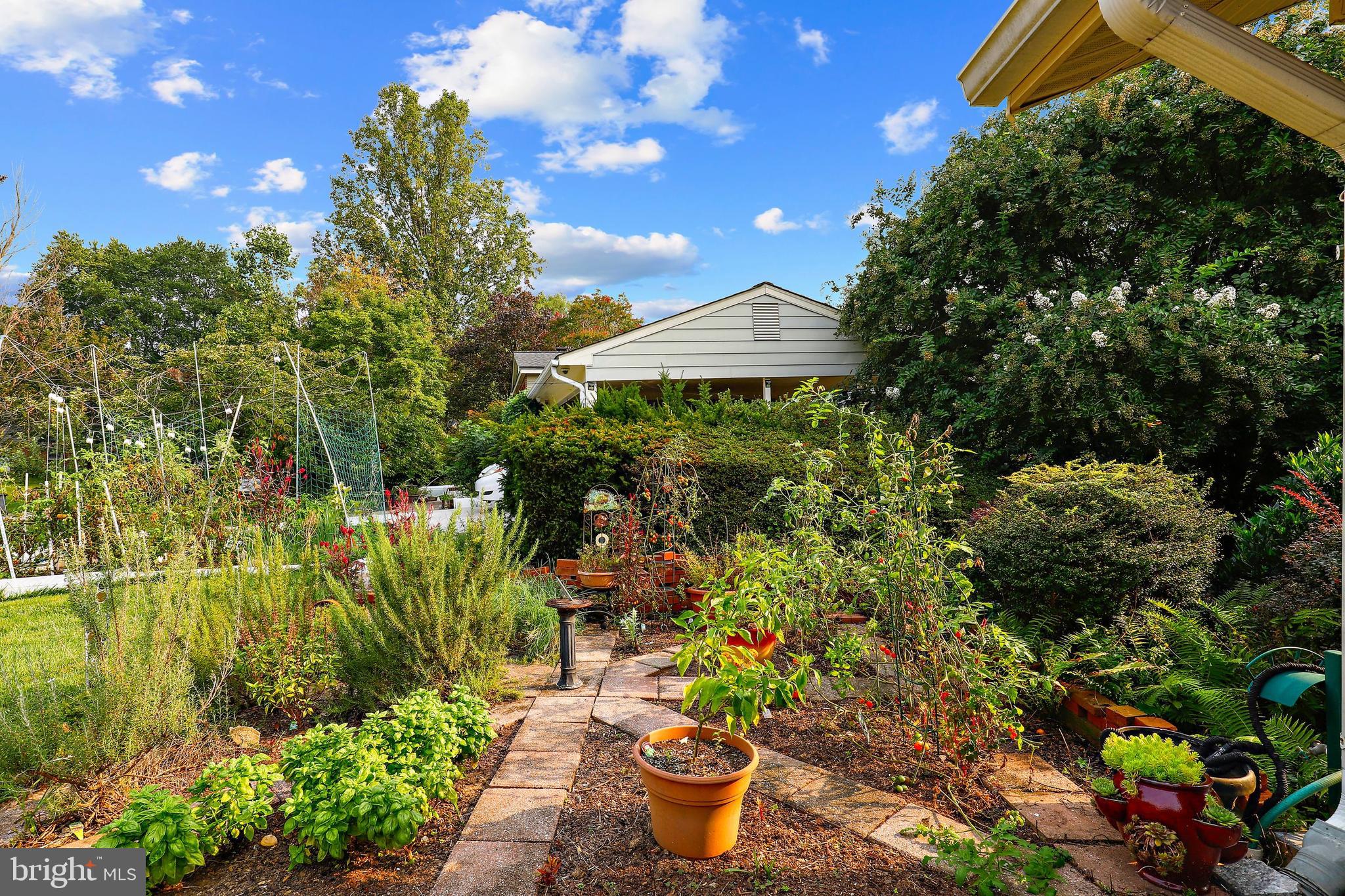 OAK HILL - Residential