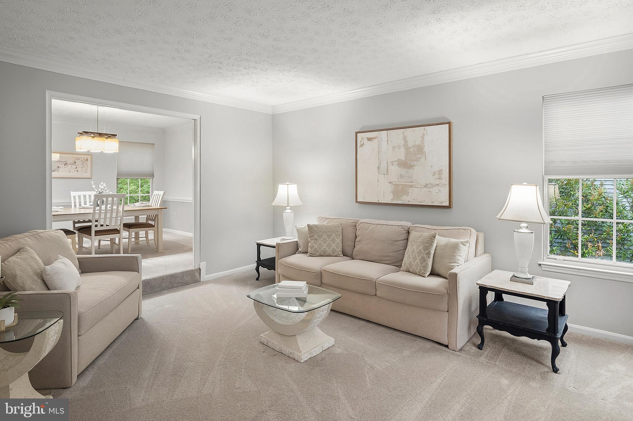 VILLAGE OF HICKORY RIDGE - Residential