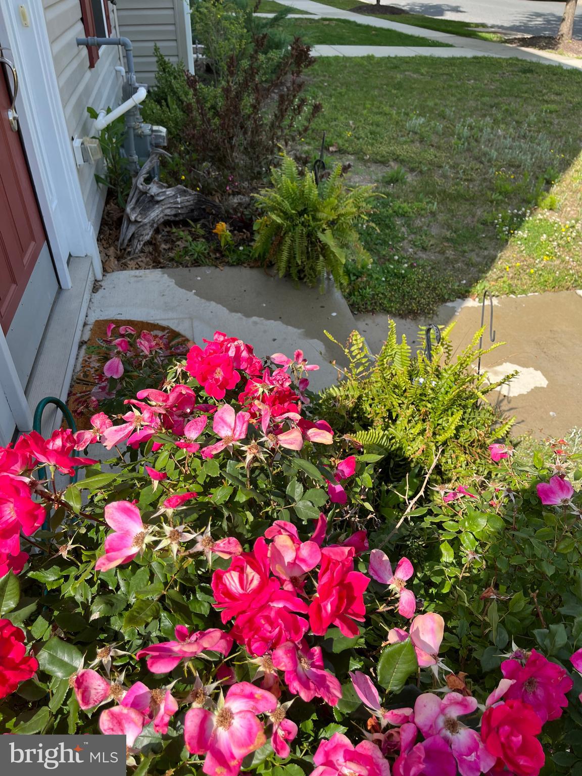 ASHBY COMMONS - Residential