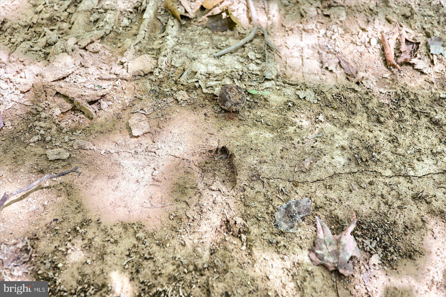 DAUPHIN COUNTY - Land