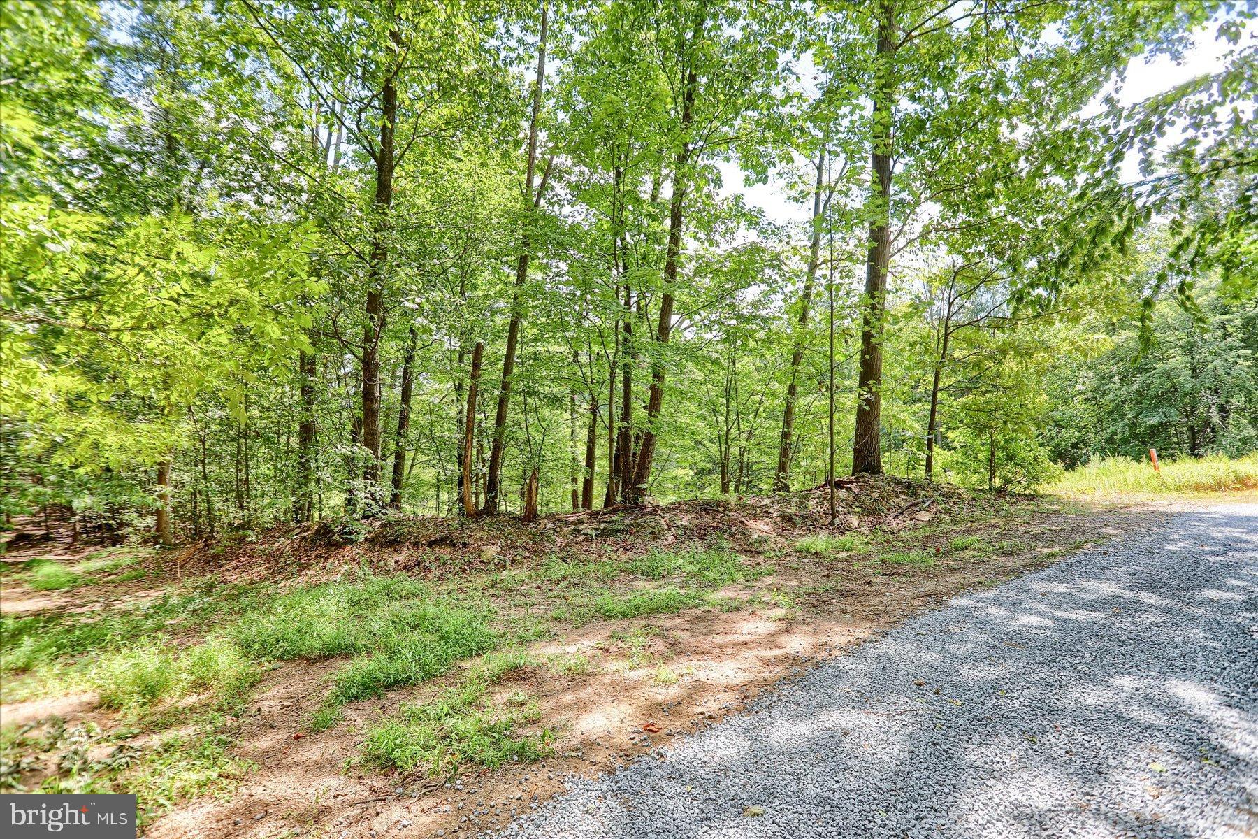 DAUPHIN COUNTY - Land