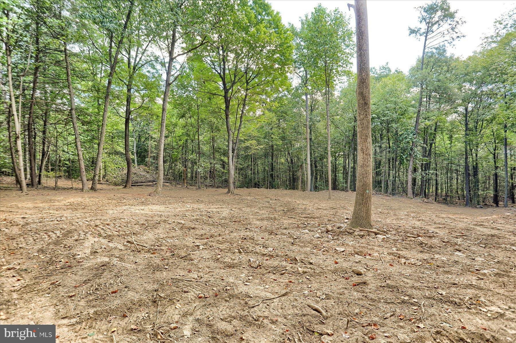 DAUPHIN COUNTY - Land