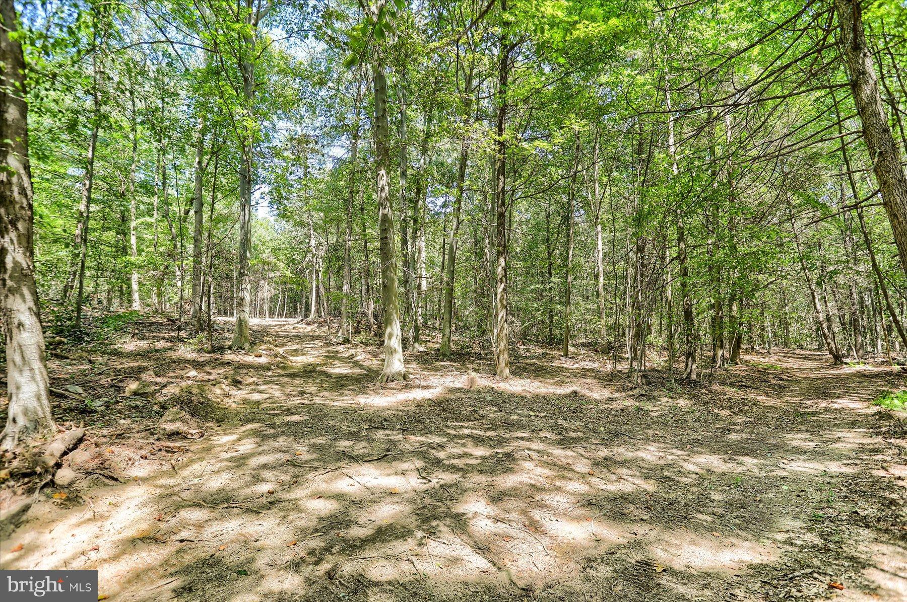 DAUPHIN COUNTY - Land