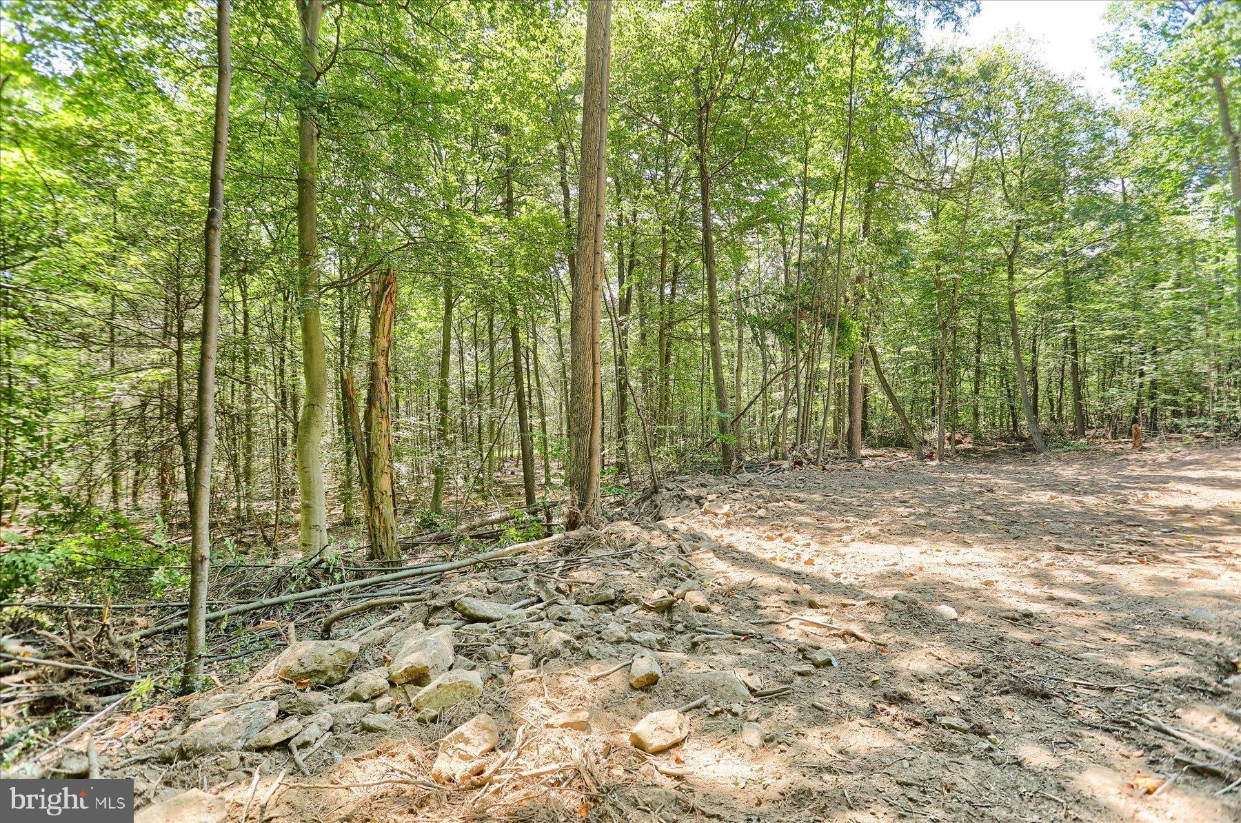 DAUPHIN COUNTY - Land