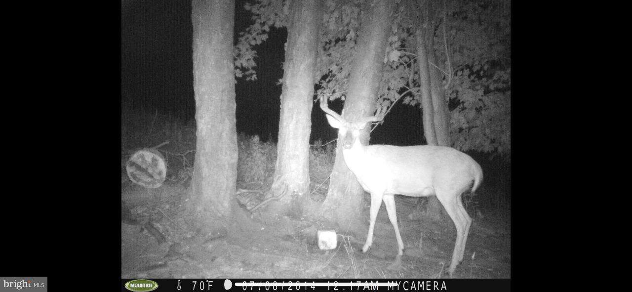 DAUPHIN COUNTY - Land