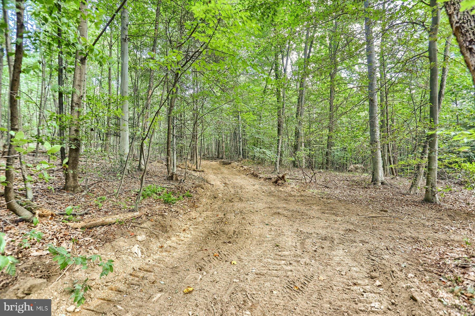 DAUPHIN COUNTY - Land