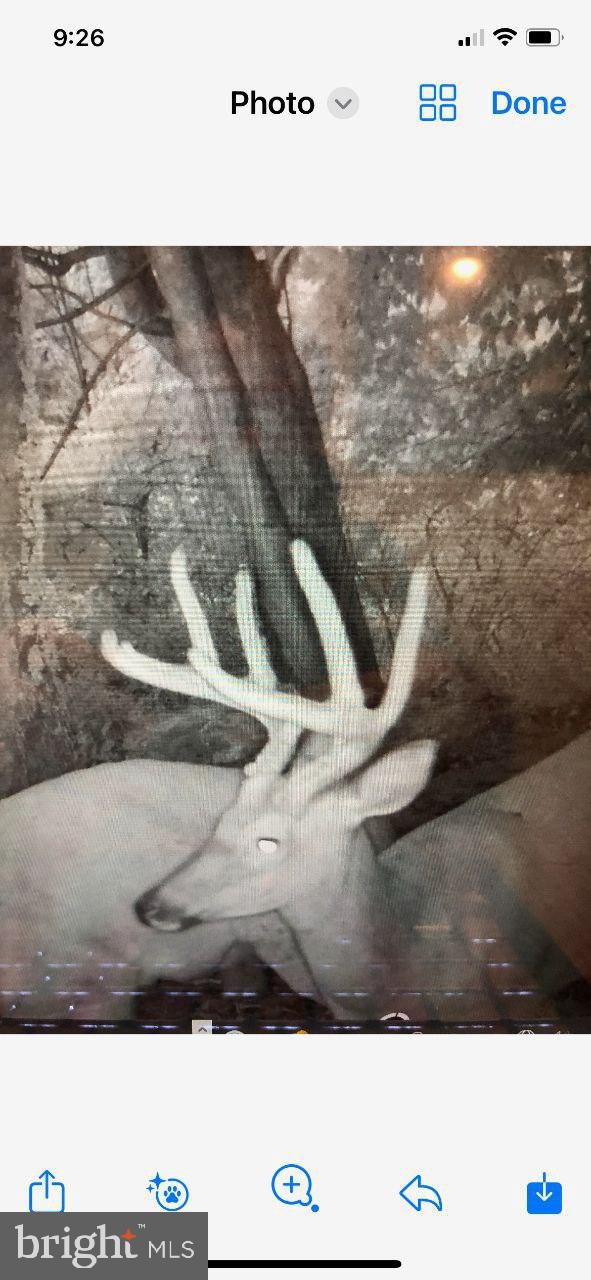 DAUPHIN COUNTY - Land