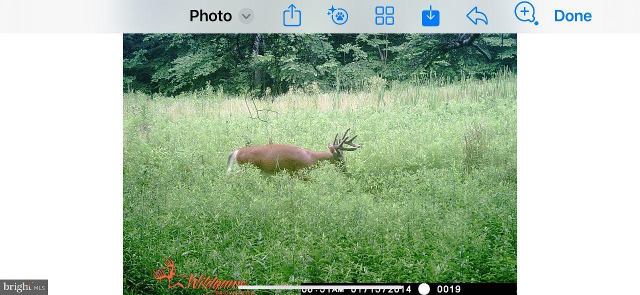 DAUPHIN COUNTY - Land