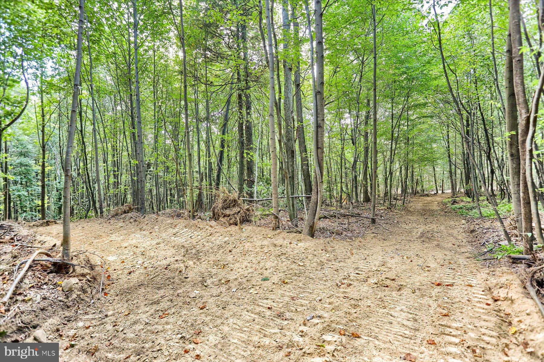 DAUPHIN COUNTY - Land