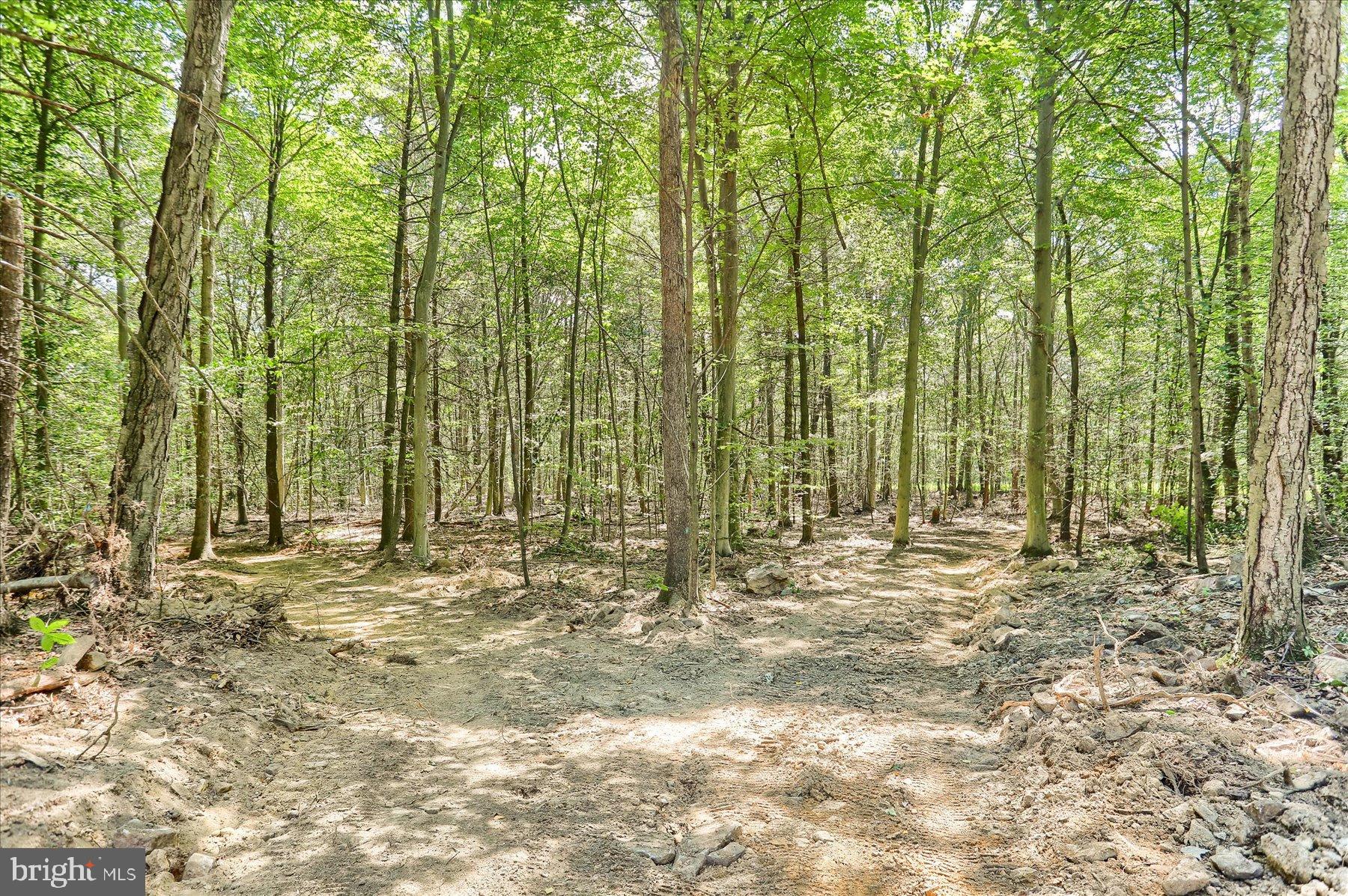 DAUPHIN COUNTY - Land