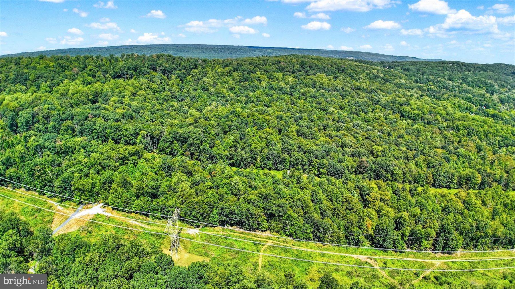 DAUPHIN COUNTY - Land