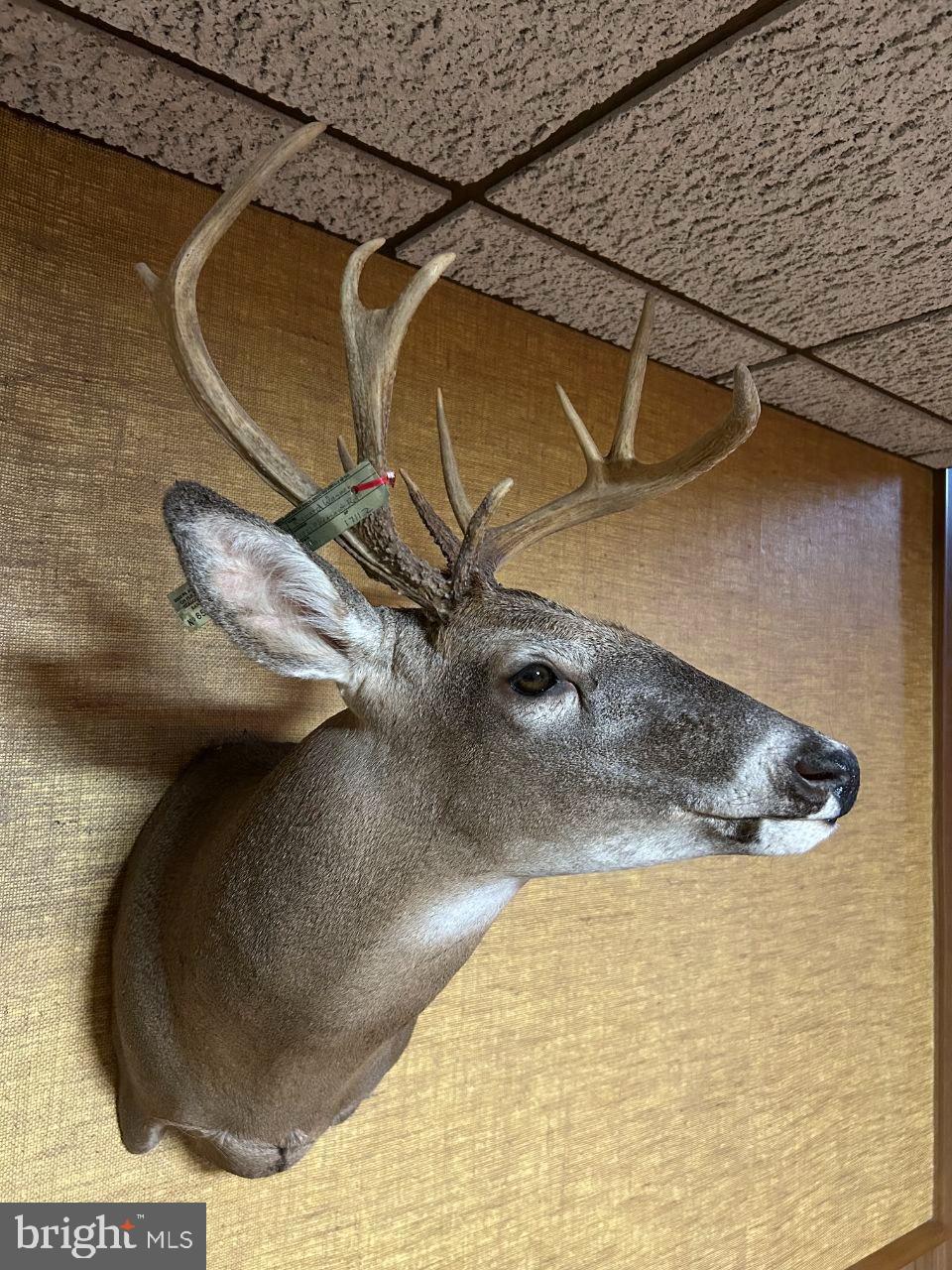 DAUPHIN COUNTY - Land