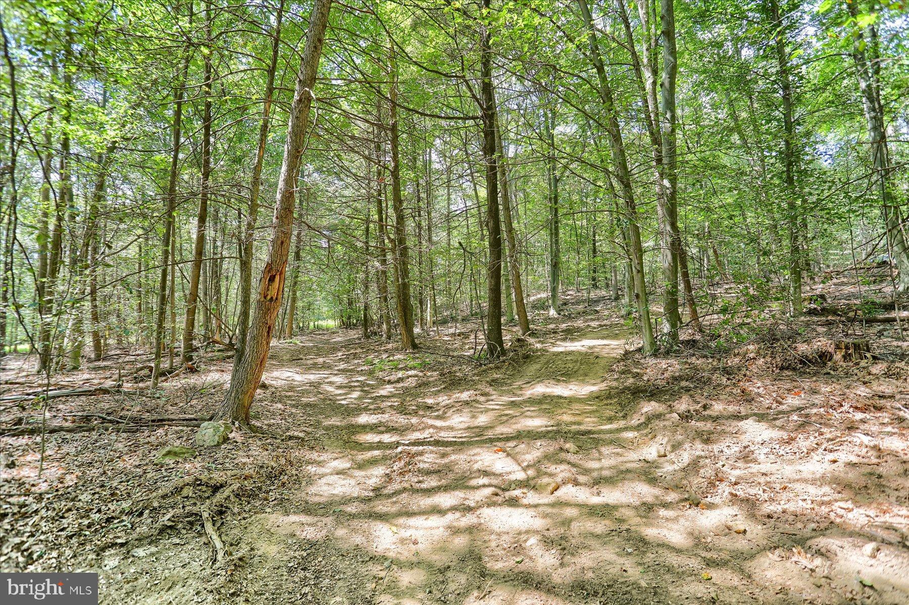 DAUPHIN COUNTY - Land