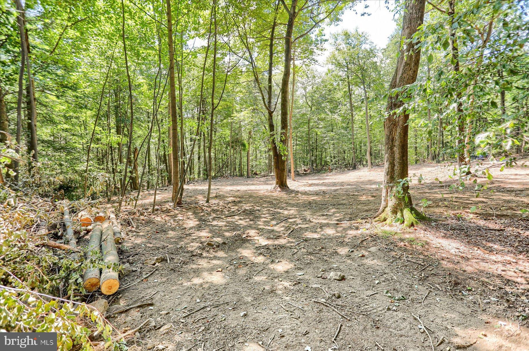 DAUPHIN COUNTY - Land