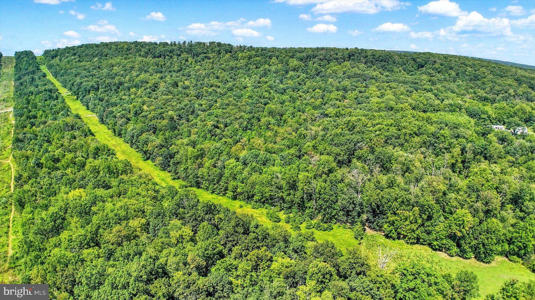 DAUPHIN COUNTY - Land