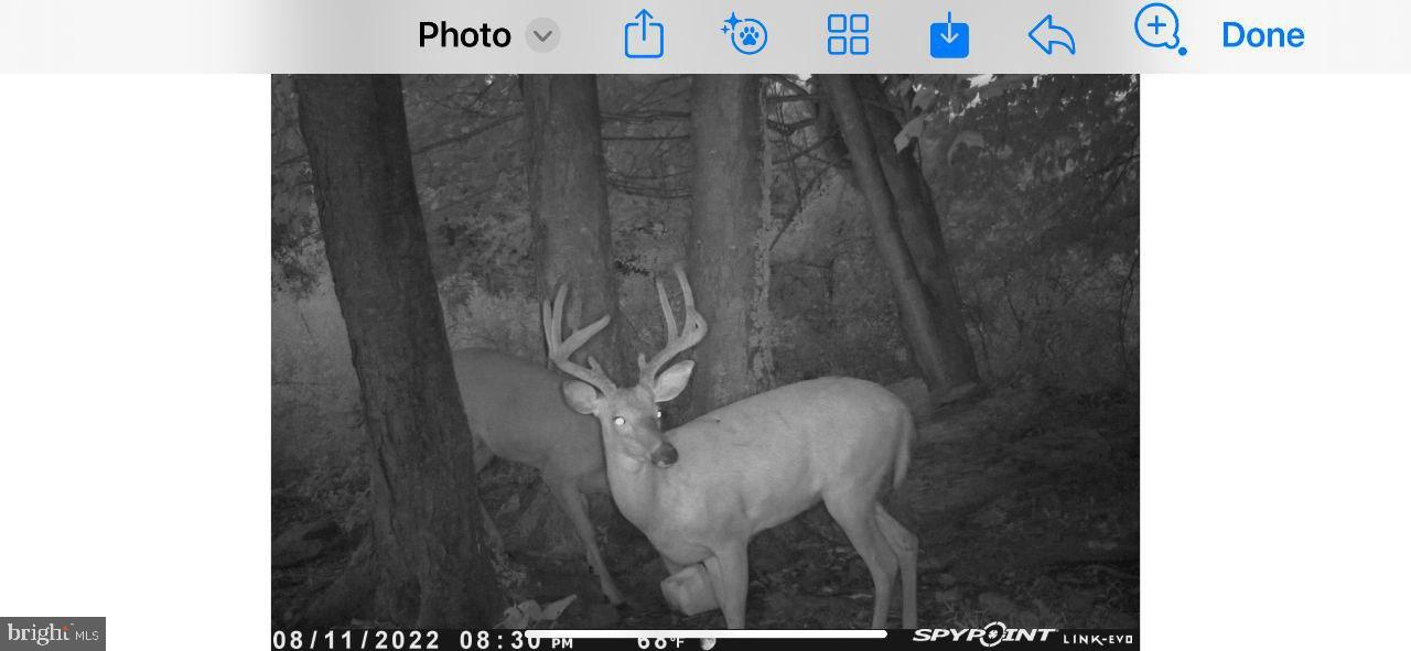 DAUPHIN COUNTY - Land