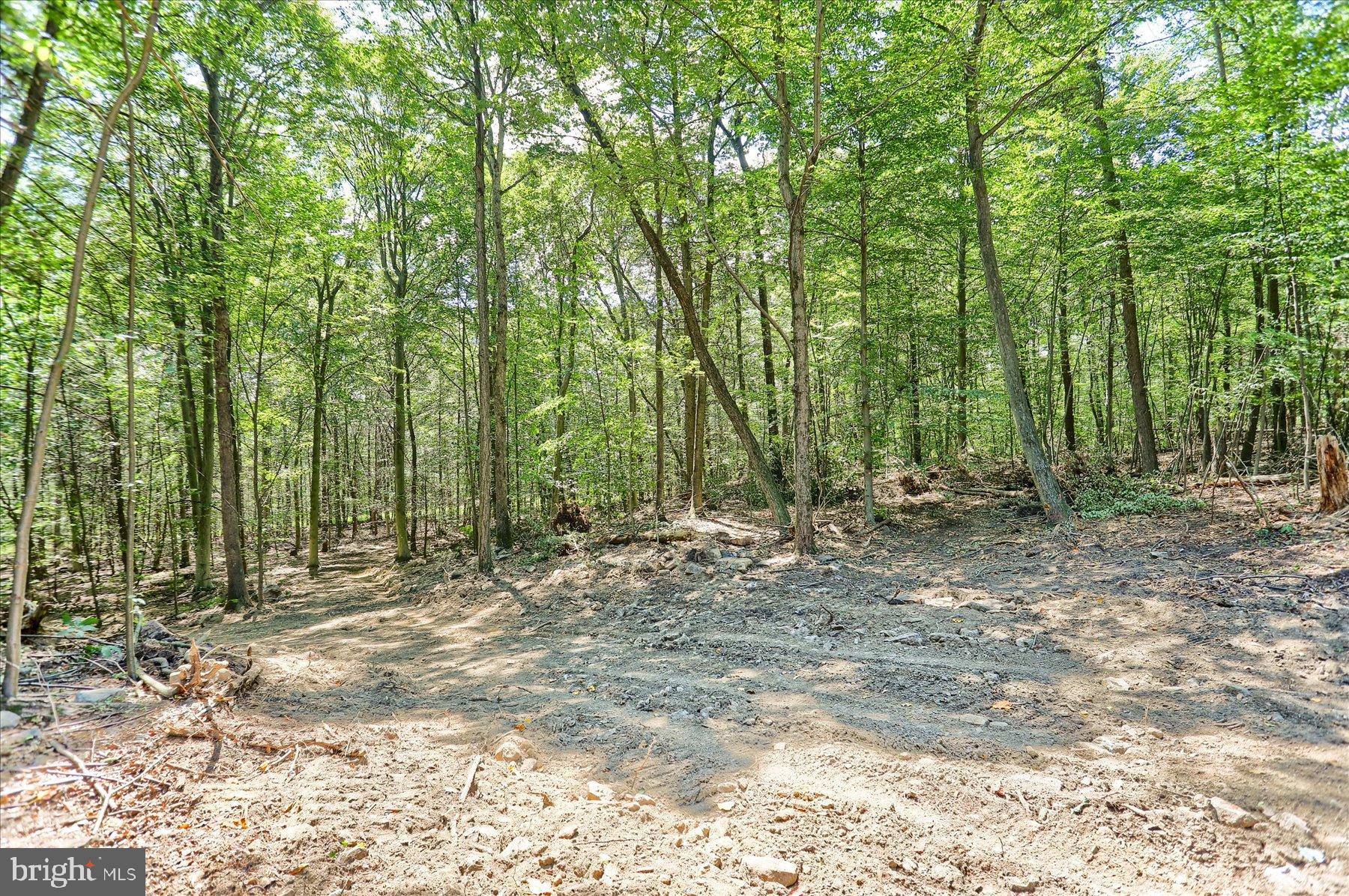 DAUPHIN COUNTY - Land