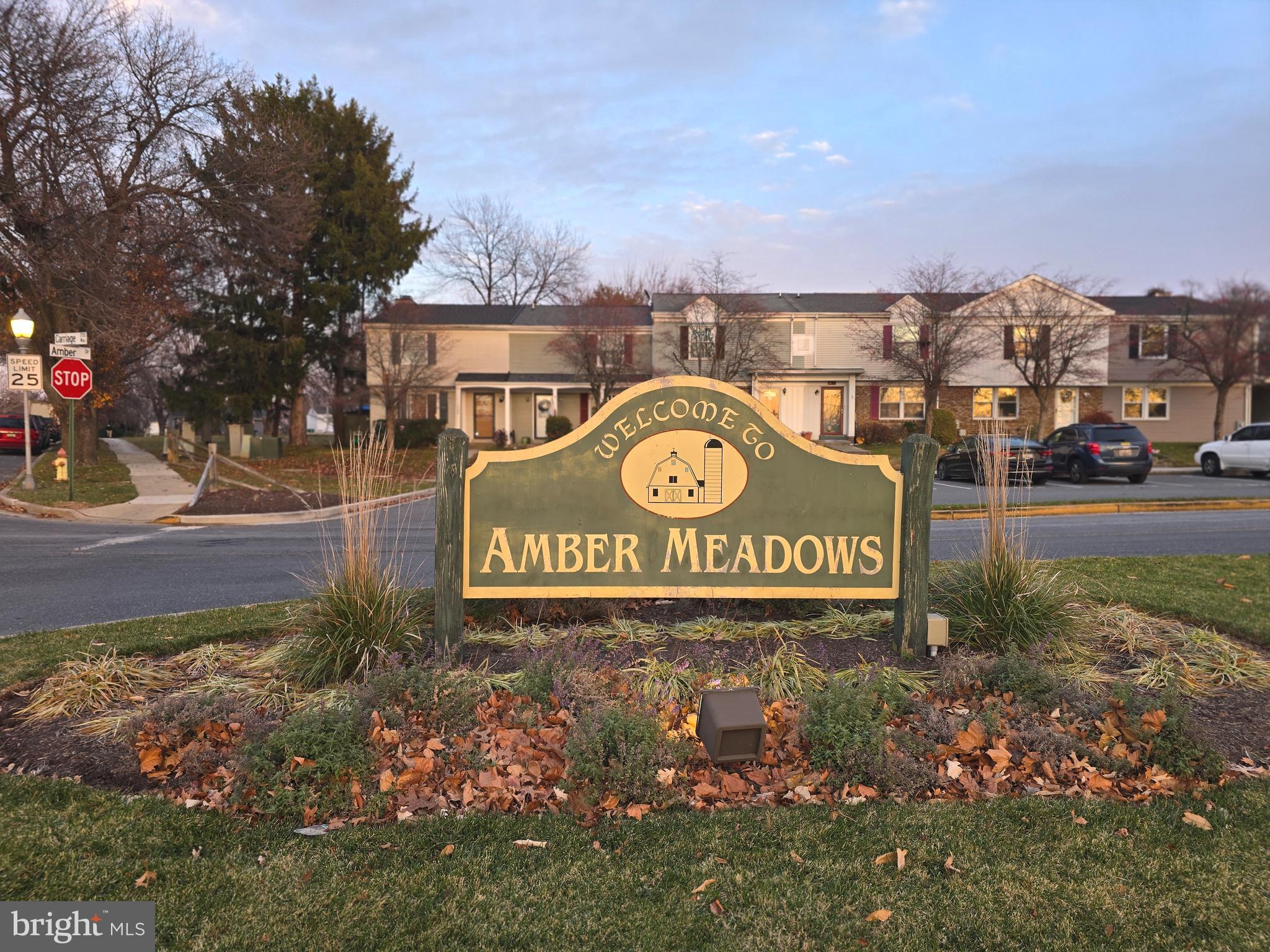 AMBER MEADOWS - Residential