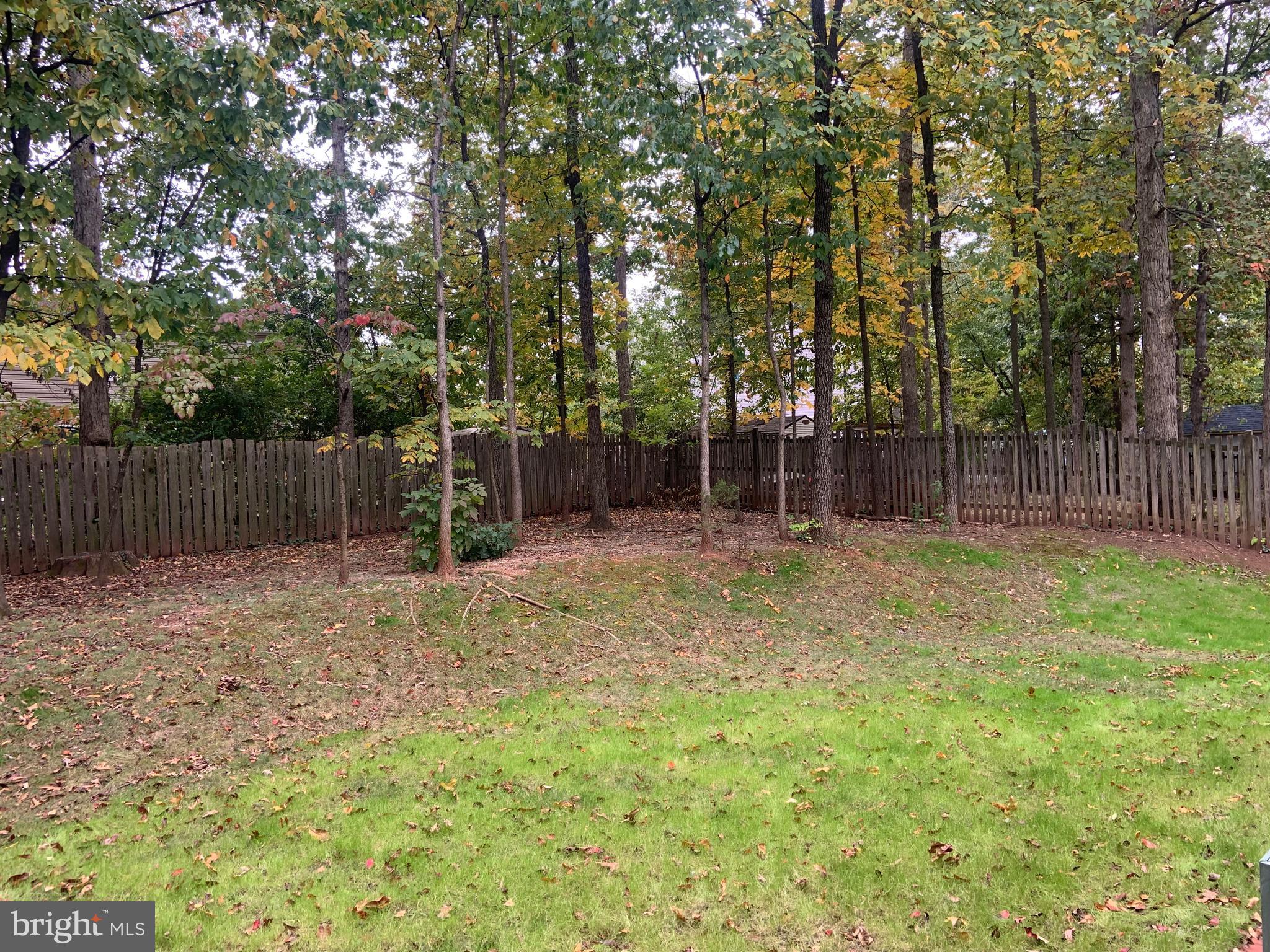 POINT OF WOODS - Residential