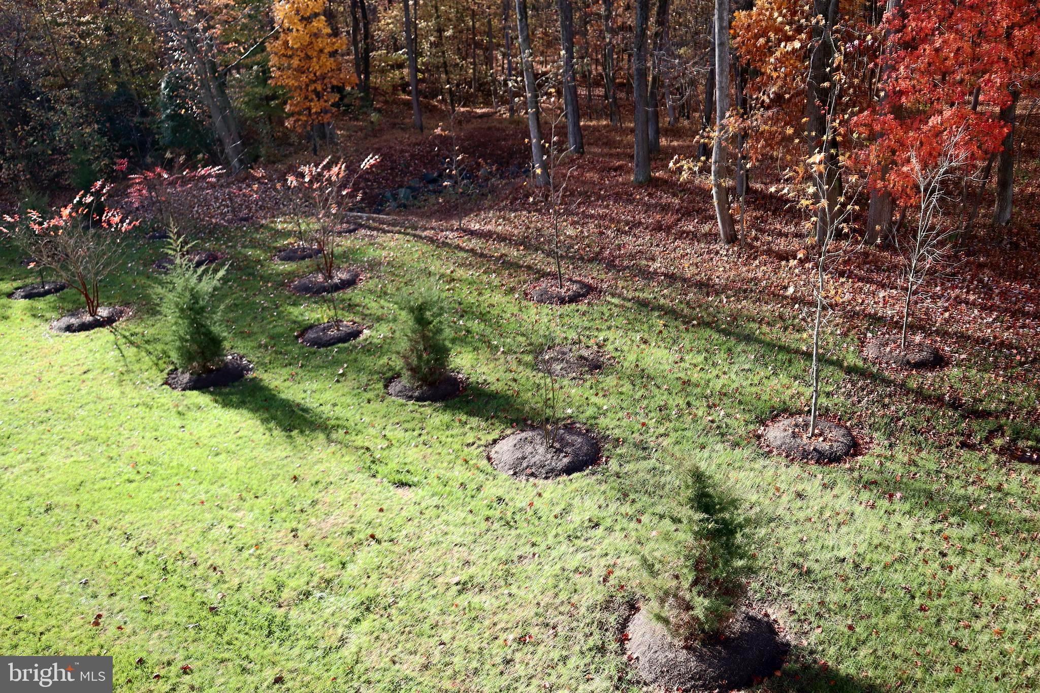 PARKSIDE AT WESTPHALIA - Residential Lease