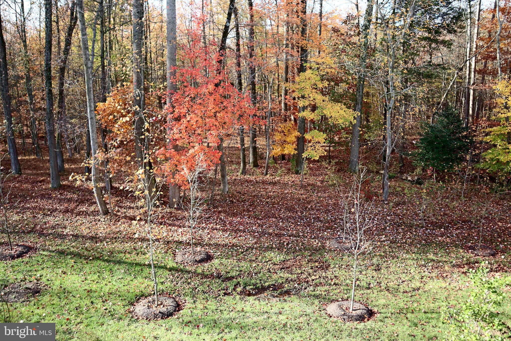 PARKSIDE AT WESTPHALIA - Residential Lease