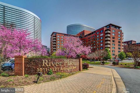 Condo For Rent - 1021 Arlington Boulevard #538<br/> ARLINGTON, VA 22209