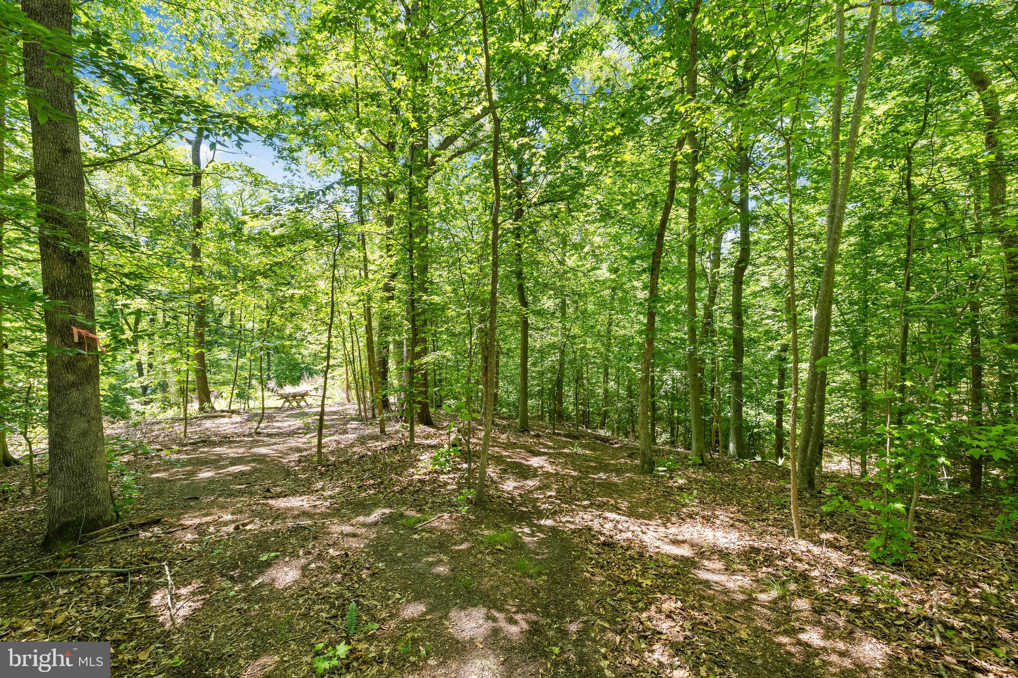 CAMP GEARY ESTATES - Residential